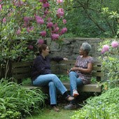 Pendle Hill people talking